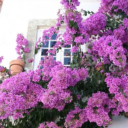 Ana's House *